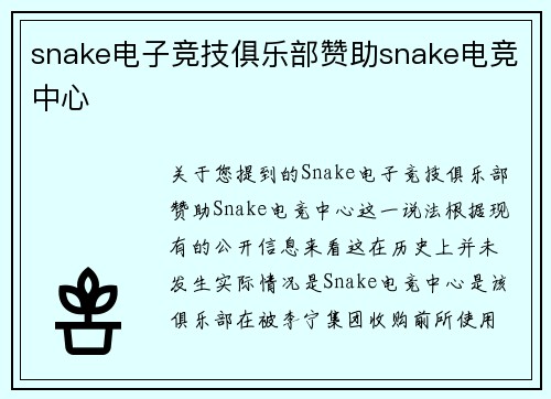snake电子竞技俱乐部赞助snake电竞中心